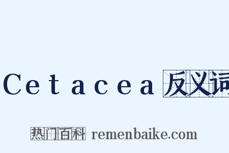 Cetacea反义词是什么意思的图片